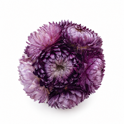 Sphère de fleurs séchées — Violet