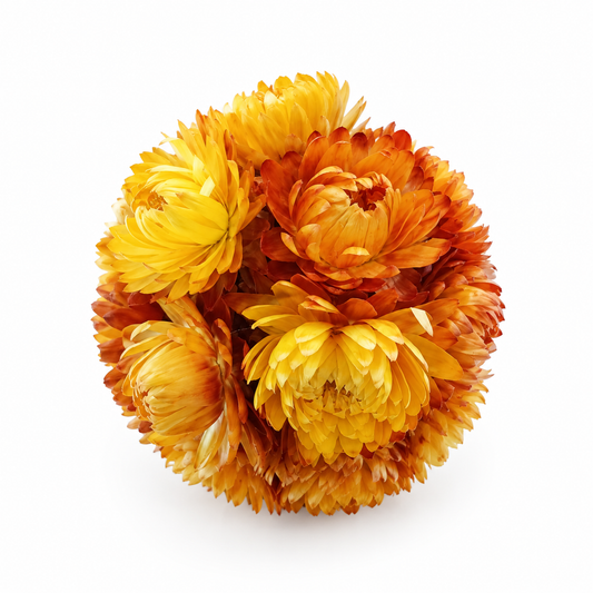 Sphère de fleurs séchées — Orange