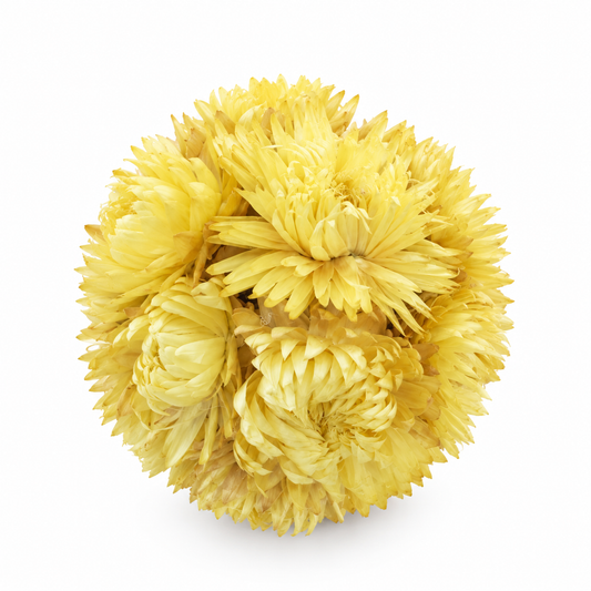 Sphère de fleurs séchées — Jaune