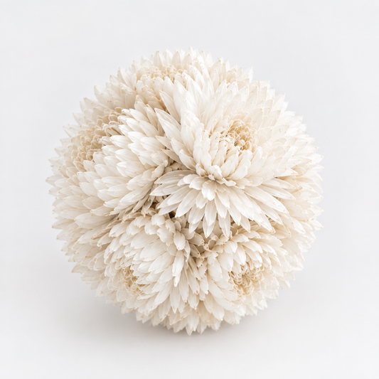 Sphère de fleurs séchées — Blanc