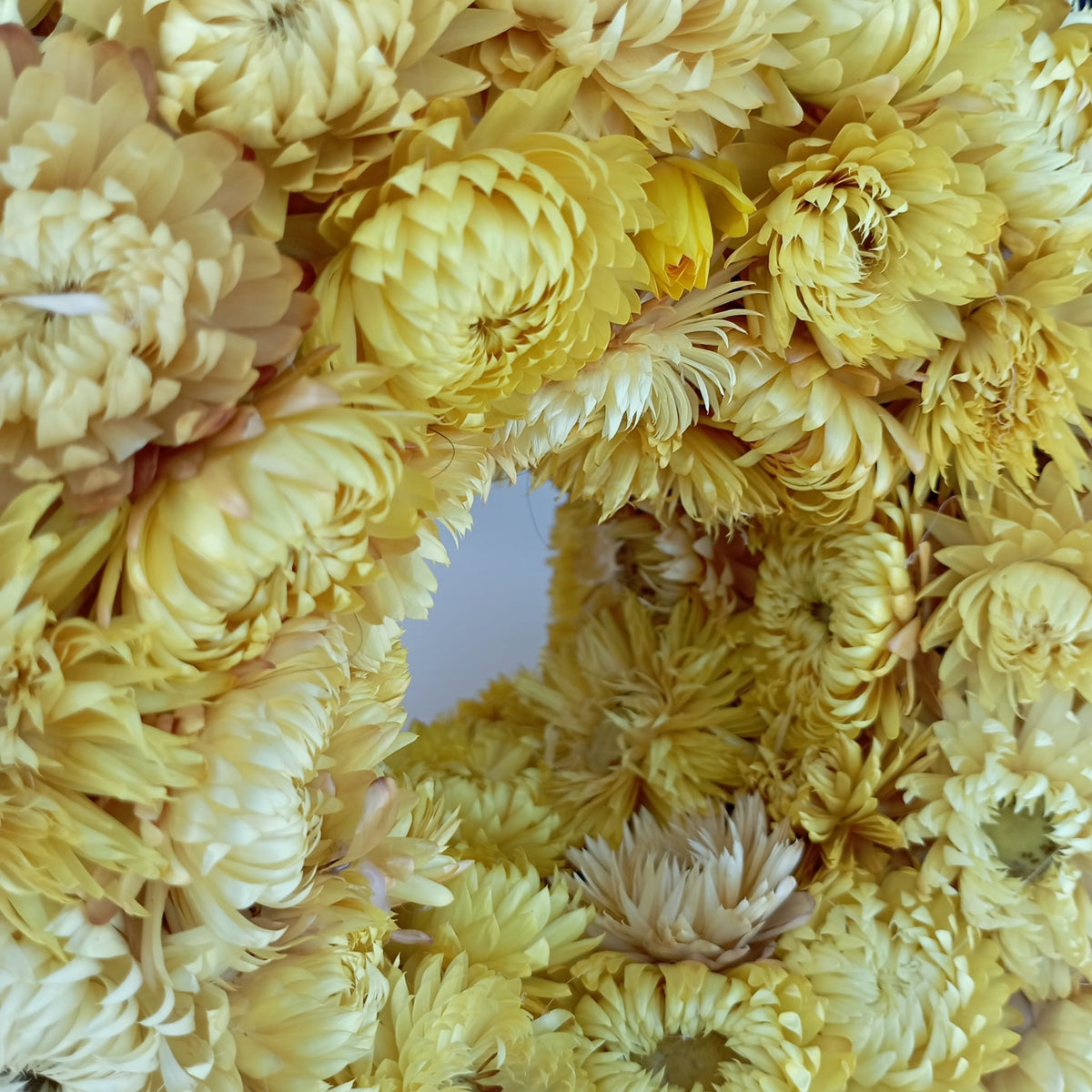 Gros plan sur les immortelles séchées jaune pâle d'une couronne de deuil