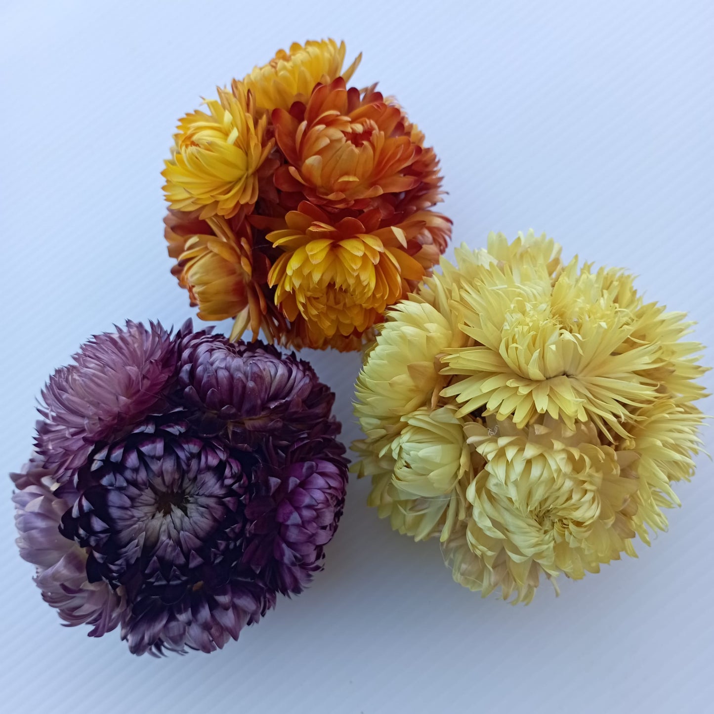 Sphère de fleurs séchées — Violet